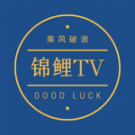 锦鲤TVv2.2.0