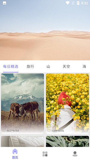 派上壁纸v10