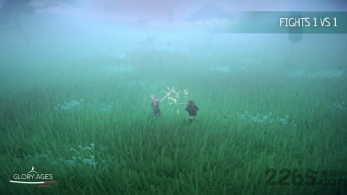 荣耀武士v1.04