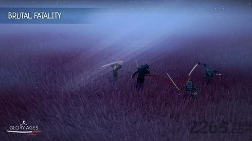 荣耀武士v1.04