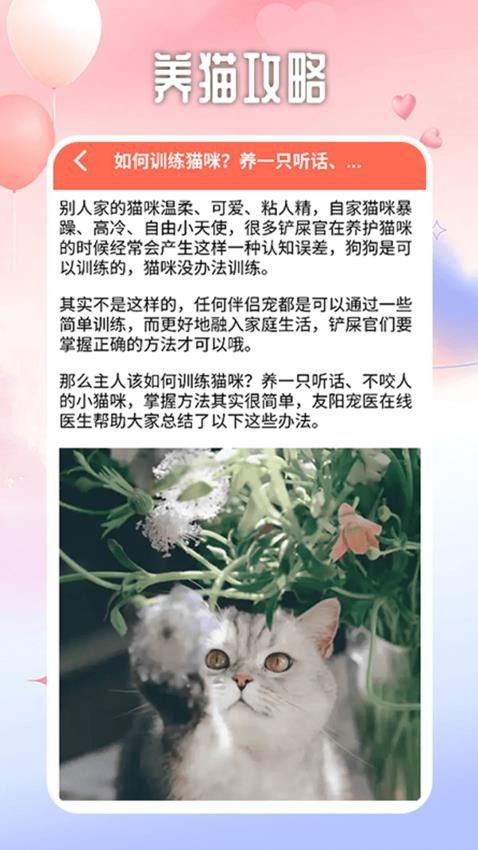 遇见你的猫咪v1.2