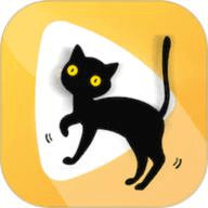 波斯猫v9.9