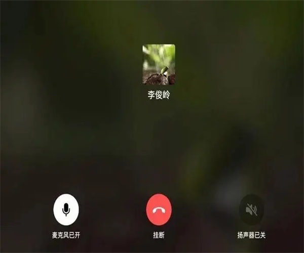 微信HD版v8.0.31