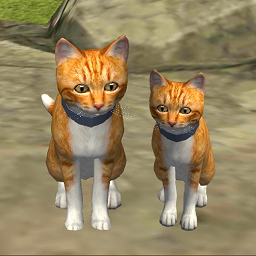 可爱小猫模拟器v1.0.3