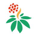 三七通v1.0.0