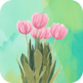 天天换壁纸v2.3.2
