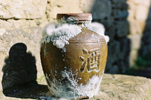 白酒坛表面长毛原因大揭秘：从微生物到环境因素全解析